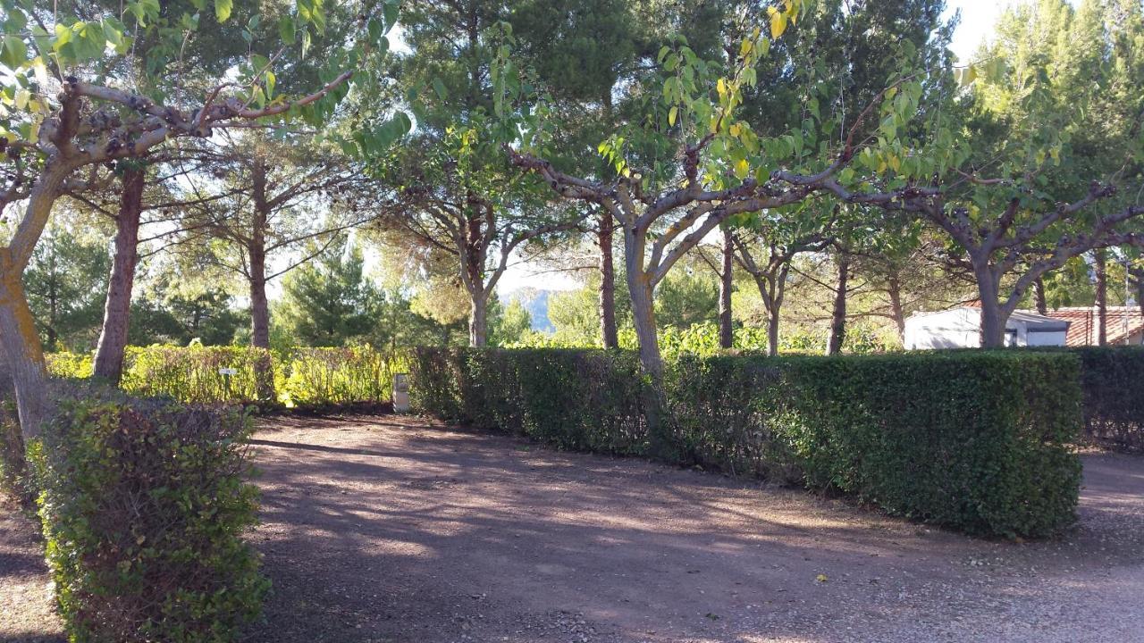 Montsant Park Camping & Bungalow Ulldemolins Eksteriør bilde